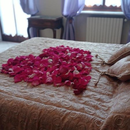 La Casa Dei Masue' Guest House Alba  Luaran gambar