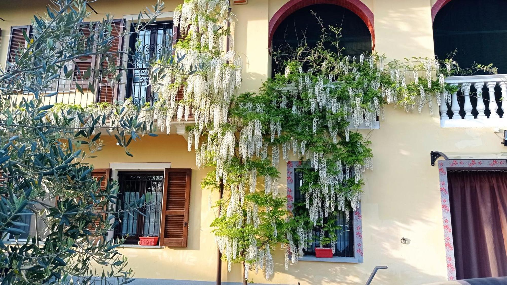 La Casa Dei Masue' Guest House Alba  Luaran gambar
