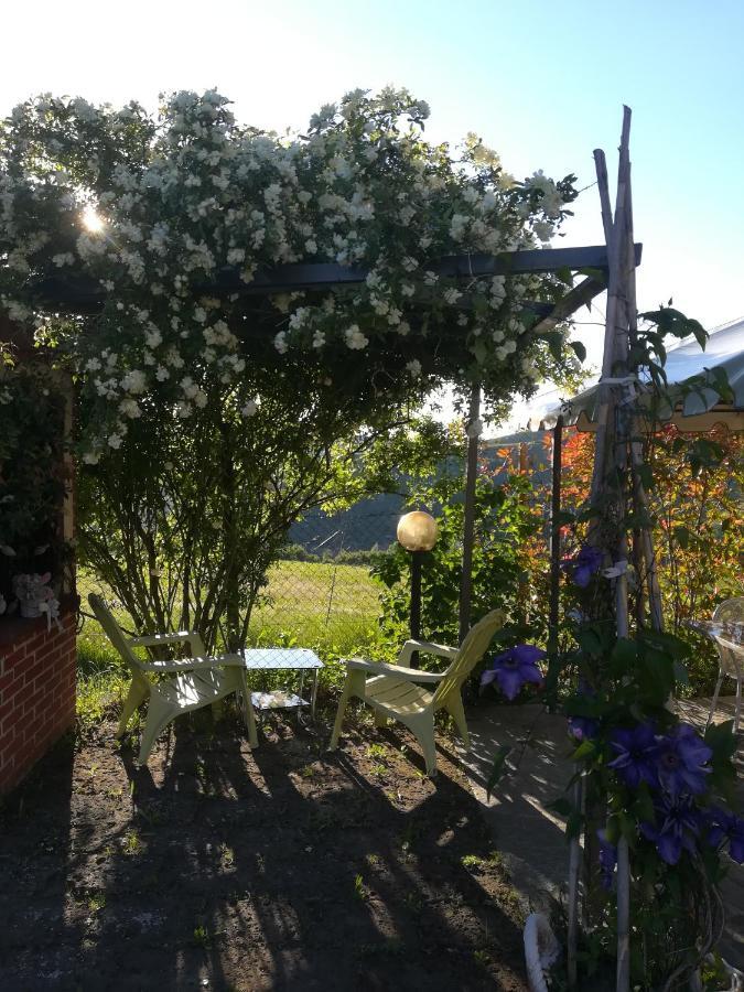 La Casa Dei Masue' Guest House Alba  Luaran gambar